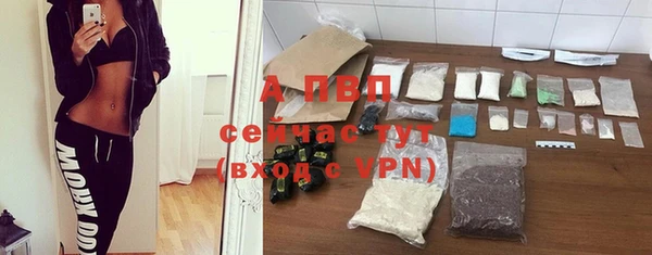 spice Белокуриха
