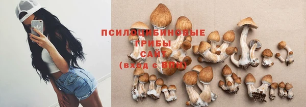 spice Белокуриха