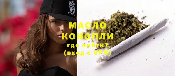 сатива Беломорск