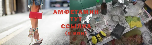 сатива Беломорск