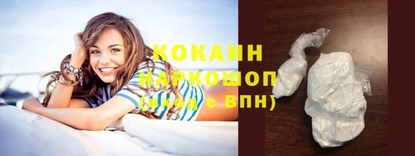 сатива Беломорск