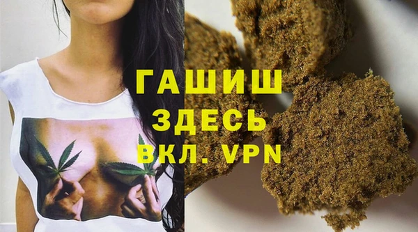 сатива Беломорск