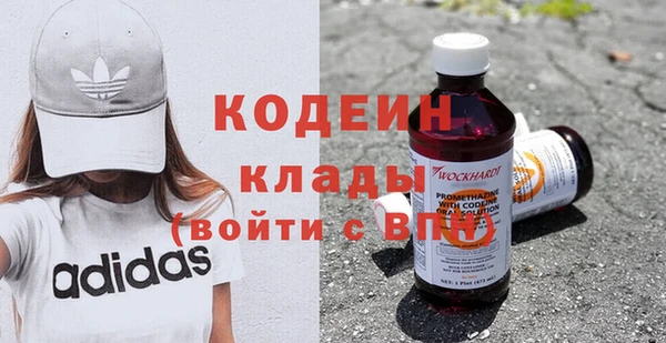 сатива Беломорск