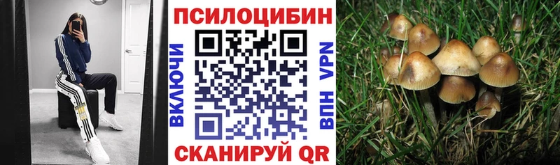 Галлюциногенные грибы Cubensis  Богучар 